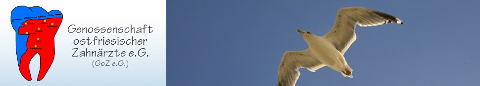Header_Moewe.jpg